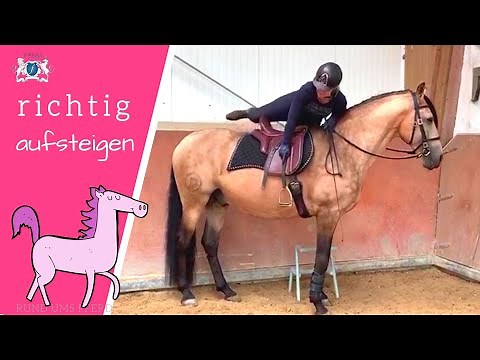 Wie Du richtig und schonend aufs 🐴 Pferd aufsteigst, ohne das der Sattel verrutscht 💡