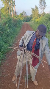 225K views · 10K reactions | MWALIMU WA MATH  #mrmbilimbili | Mr Mbilimbili | Facebook