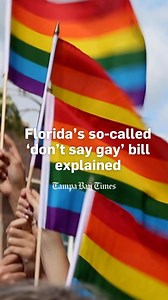 There's a lot of confusing messaging around Florida's controversial 'don't say gay' education bill, now headed to Gov. Ron DeSantis' desk to be signed. Republican sponsors say the bill allows student-led discussions that touch on sexual orientation or gender identity but bans K-3 lesson plans explicitly based on those themes. But that's not the only aspect of the bill; some LGBTQ advocates worry how limiting conversations, and the information-sharing provision of the legislation, will affect the