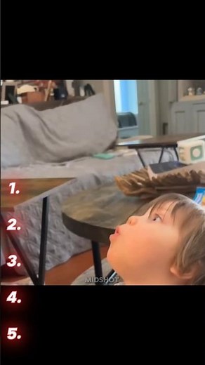 Ranking random funny dog moments 😂 | #shorts