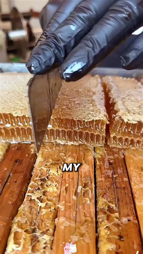 Exploring Reddit Stories and Community Insights