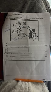 The diagram below shows part of the female reproductive system.... | Filo