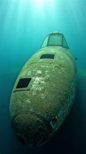 I Found a Ghost Plane Underwater… (IT’S NOT EMPTY)