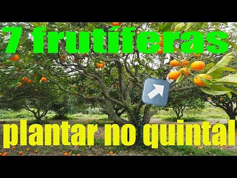 7 FRUIT TREES TO PLANT IN YOUR BACKYARD. Fast growing and small.