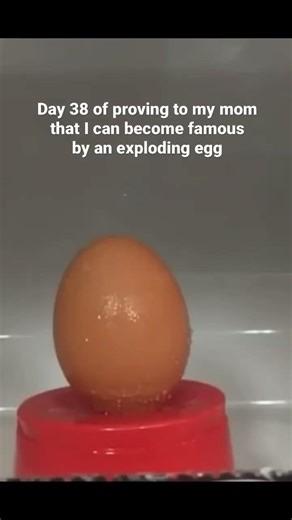 Day 38 of proving to my mom that I can become famous by an exploding egg
