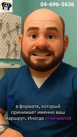 Ветеринарный сертификат перед выездом: зачем он нужен и как не ошибитьсяVideo Title