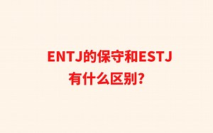 ENTJ的保守和ESTJ有什么区别?_哔哩哔哩_bilibili