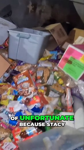 Why We Chose the Wrong Vehicle for Our Trip! | Curbside Junkies