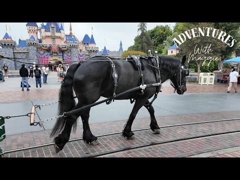 Disneyland Horse-Drawn Street Car Trolley - "Oliver" the Horse - Early Morning POV Vlog #127