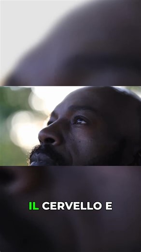 Consciousness continues where the body ends #immortal #physics