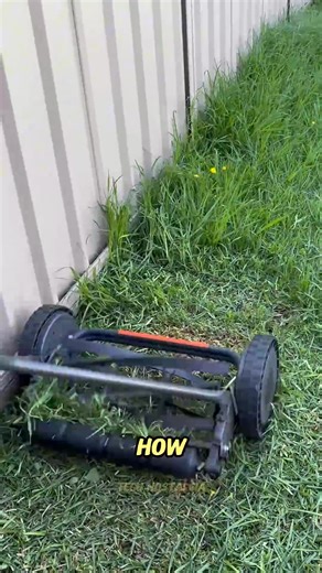 1.9K views | Before Modern Tech: The First Lawn Mowers #technology #old #facts | All in | Facebook