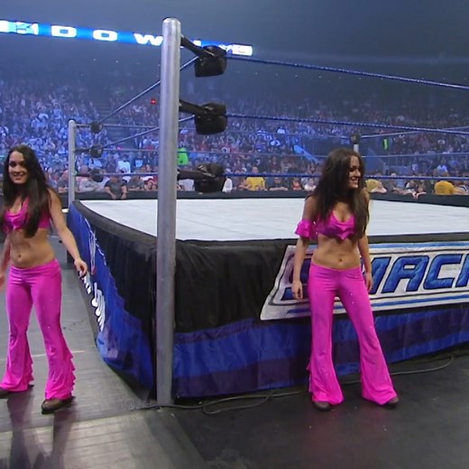 936K views · 10K reactions | It’s The Bella Twins’ birthday! Take a look back at the first time we met Nikki & Brie! | WWE | Facebook
