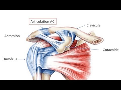 EPAULE N°4 - Résection acromio-claviculaire