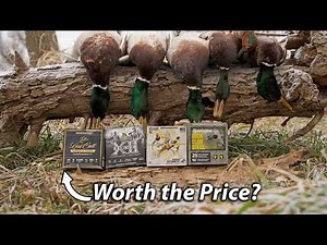 Are Expensive Duck Loads Worth It? We Put Them to the Test