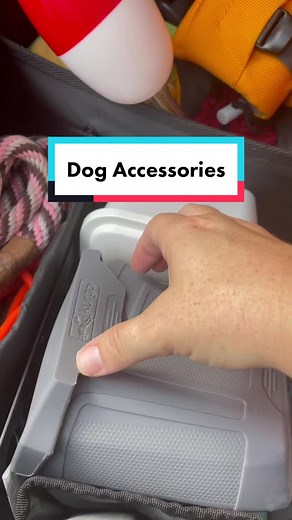 Innovative Kurgo Tailgate Dumpster for Dog Lovers