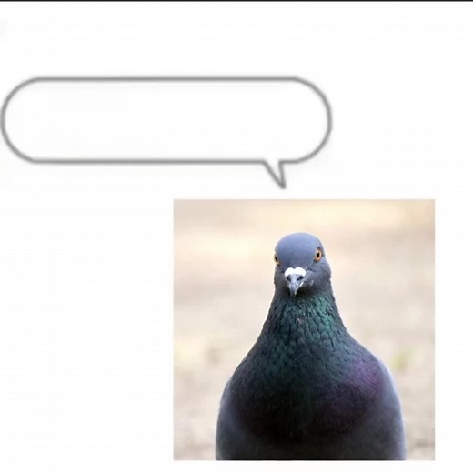 Funny Geometry Dash Memes That Will Make You Laugh