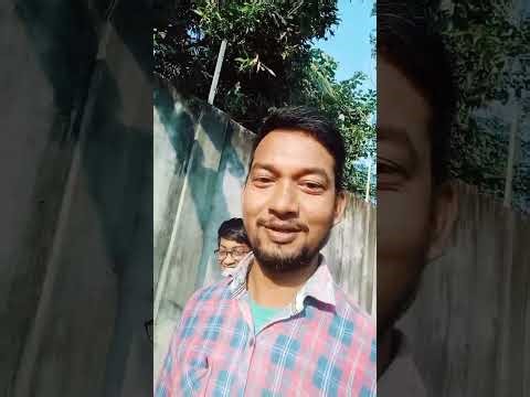 Birthday Mai Tree 🌲 Lagia Aur Jindagi Var Anand Ligia||