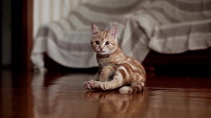 11K views · 63 reactions | Allergens and pollen have nowhere to hide with our Aircare technology. | Volkswagen | Facebook