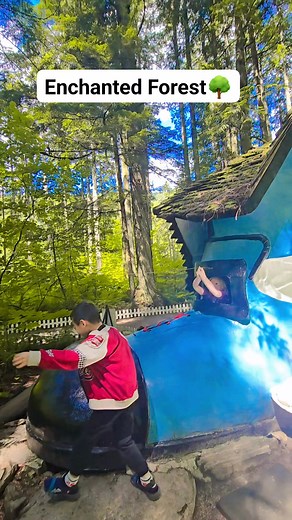 Come join us discover the magical world of The Enchanted Forest here in Revelstoke, BC #followerseveryone #reelsfypシ #followersreelsfypシ゚viralシfypシ゚viralシalシ #rawvideo #explorebc #canada | Zaiden & Zoe