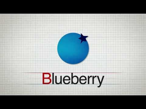 Learn the letter B | Alphabet Stories 🌈 | Knowledge Kids