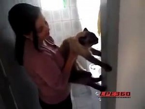 38K views · 128 reactions | Cat REALLY does not want to take a bath #noooo | Animalistic | Facebook