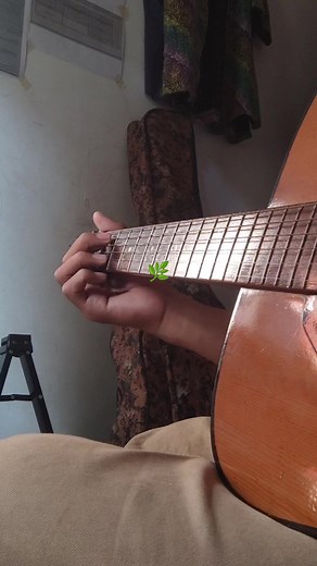 A Thousand Years Guitar Cover - Fingerstyle Chord Tutorial