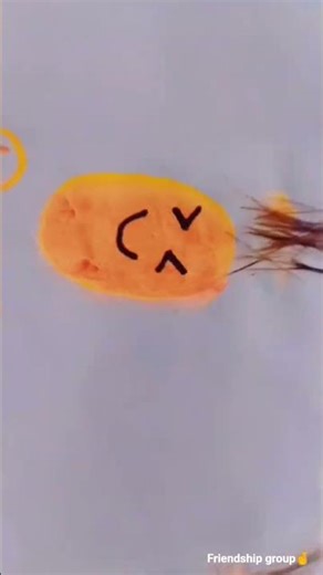 today activity friend