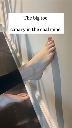 If you’ve got bunions, joint pain, foot cramps, or calluses in weird spots, your foot’s not moving how it should. The big toe is giving you warning signs ‼️ A loss of strength or range of motion at the big toe massively affects not only how the foot moves but the entire leg and hip. Listen to your feet. Look at them. Move them. 🪨 🎶 🐦 🎶 🪨 | The Art of Movement Chiropractic & Performance