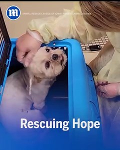 Rescuing hope | Daily Mail Video
