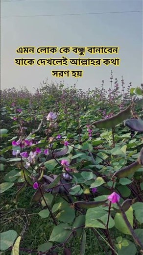 আমাদের সকলের উচিত ভালো বন্ধু বানানো #mizanur_rahman_azhari #motivation #whatsappstatus #waz #share