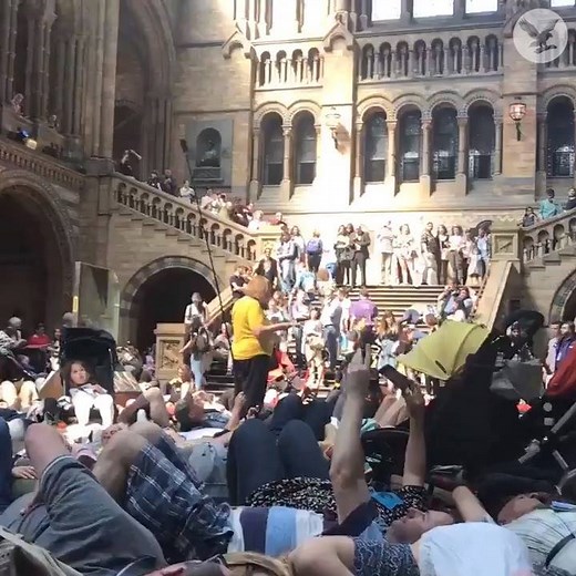 Extinction Rebellion protesters perform 'die-in' at Natural History Museum | The Independent