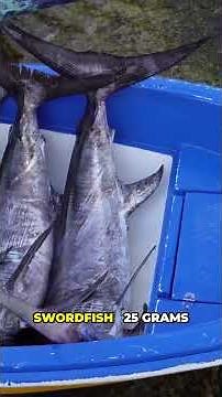 Top 5 Fish With the Most Protein Revealed!