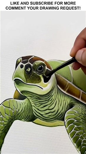 Satisfying Realistic Sea Turtle Drawing Art Process 🐢 ASMR Art Oddly Satisfying Marker #shorts