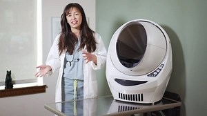 Hyperthyroidism in cats: What is it, how can you spot it, and what are the treatment options? Dr. Justine Lee explains 🐱Watch! | Litter-Robot by Whisker