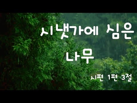 시편1편3절 찬양 "시냇가에 심은 나무" CCM찬양