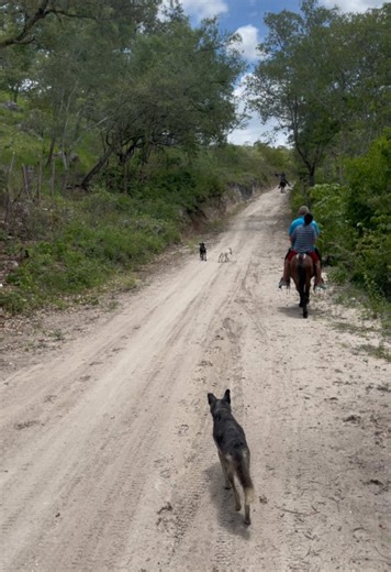 Fixmatrix (@fixmatrix360)’s videos with Que Bonita Es La Vida Del Rancho - Yo Soy Casandra 🐮🌽