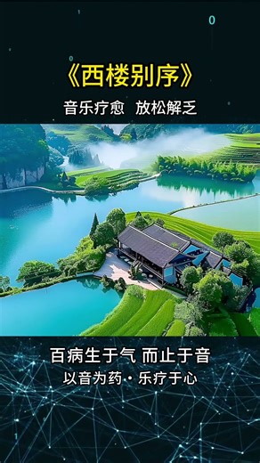 Soothing Chinese Zither Music Perfect for Focus and Relaxation #relaxingmusic #studymusic