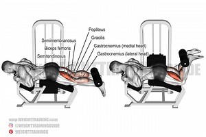 Lying leg curl exercise instructions and video | Weight Training Guide