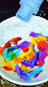 Beautiful betta fish 🥰 #bettafish #betta #bettatank #bettatok #bettalover #bettafishtank #betta #bettafishlove #betta #bettafishcommunity #betta #bettafishbreeding #betta #bettafishthailand #betta #bettafishcare #fighterfish #fishing #fish #fishinglife #fishingislife #fishingtrip #fishingvideos #fisherman #aquarium #aquariumhobby #aquariumlife #aquariumfish #aquariumsofinstagram #aquariummaintenance #beautifulfish #beautifulfishes #colourfulfish #colourfulfishes #colorfulfish #reelsfb #shorts #