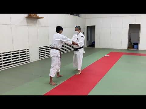 Shorinji Kempo 二段抜 nidan nuki 少林寺拳法