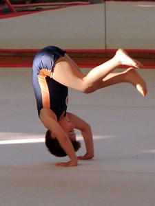 Roll (gymnastics) - Alchetron, The Free Social Encyclopedia