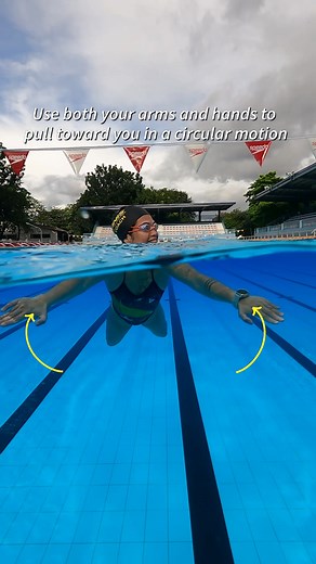 Sightseeing Swim for Your Next Holiday with Swim Travel PH