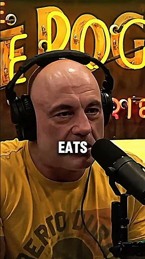 Joe Rogan Amazed Watching USIC Training — Nonstop Beast Mode #joerogan #mma #ufc #jre