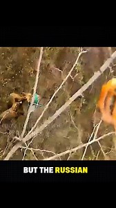 UAV Control Point DESTROYED by Fiber-Optic Cable Drones 🎯🛩️ Fiber-optic guided drones struck and eliminated a UAV control point with precision, cutting communications and crippling operations. #DroneWarfare #FiberOpticDrones #UAV | Sachi Real facts updates