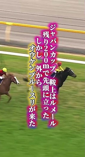 【ウオッカ物語④完結】天皇賞秋に続きジャパンカップも2センチ 「一番強かった馬はウオッカ」角居の言葉