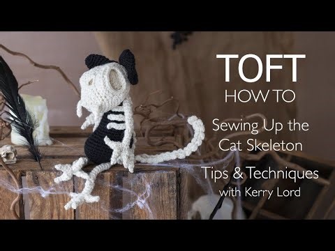 Sewing Up the Cat Skeleton