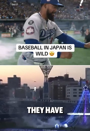 Experience the Excitement of Baseball in Japan