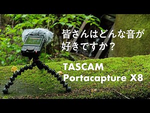 フィールドレコーディングで森の音を集める【 TASCAM Portacapture X8 】 VLOG #54