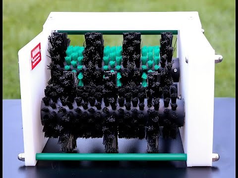 The Little Egg Scrubber