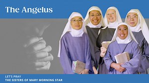 282 reactions · 15 shares | Do you pray the Angelus? Originating in...